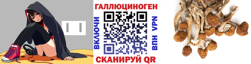 Псилоцибиновые грибы GOLDEN TEACHER  Мамадыш 